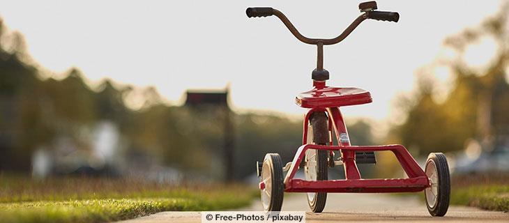 Eching/ Weixerau: Toys for Kids