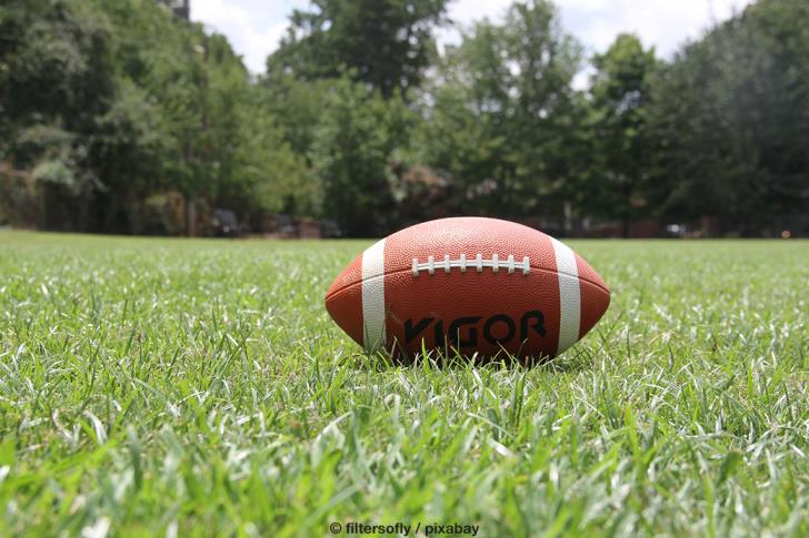 <i>American Football (Männer)</i><br>German Football League 2<br>Fursty Razorbacks - Bad Homburg Sentinels