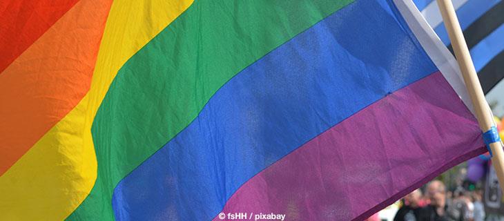 Christopher Street Day 2025<br>CSD-PolitParade