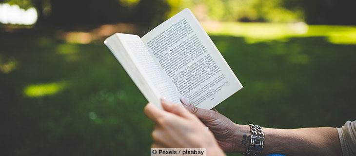 Freundschaft im Hof 2<br>Bücher für Freund*innen