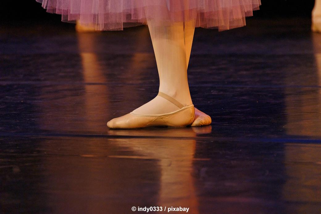 Familienvorstellung<br>Der Nussknacker