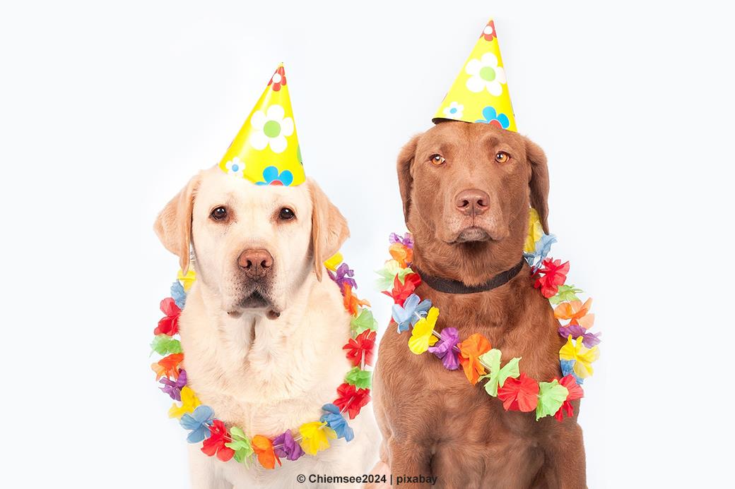 Feringa rockt Ismaning