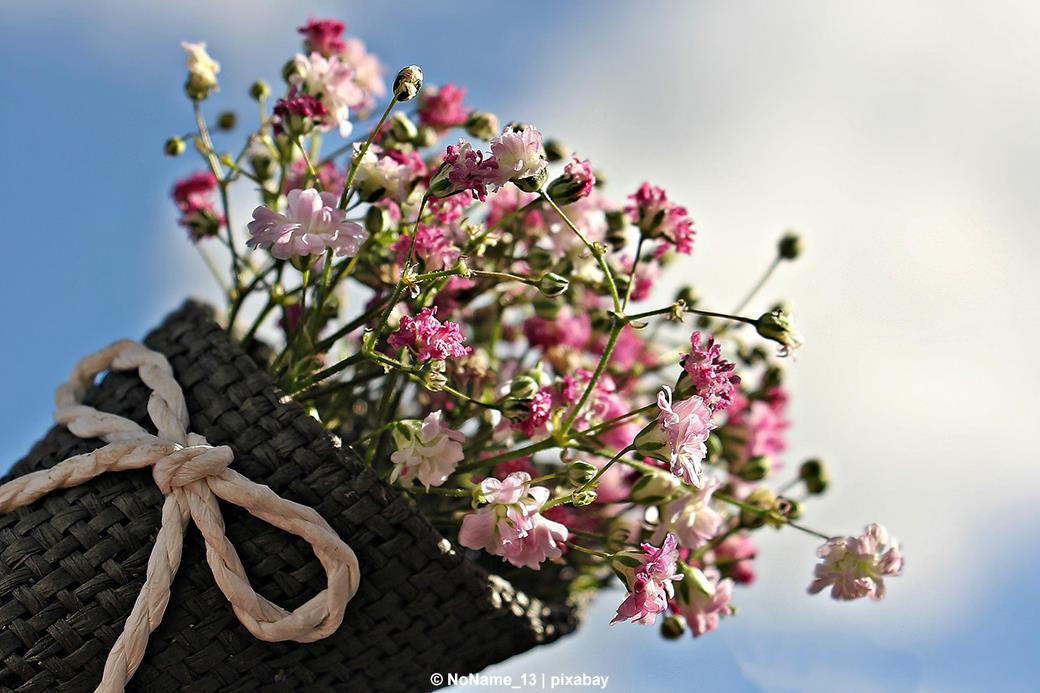 Wochenmarkt Bogenhausen