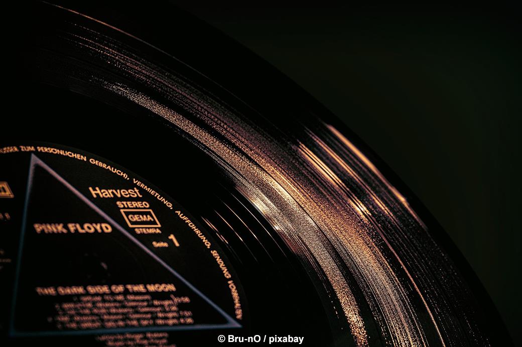 Waxsafari x Midnightbazar