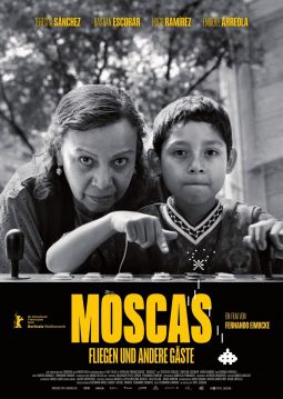 Moscas - Fliegen und andere Gäste
