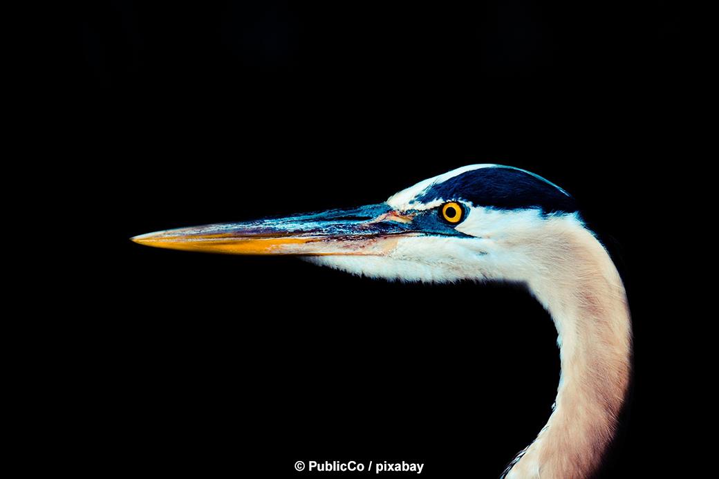 Vogelpark Olching