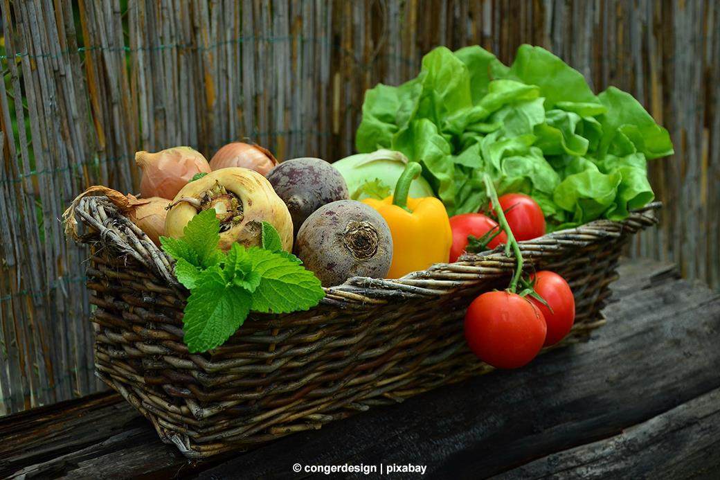 Pasinger Viktualienmarkt