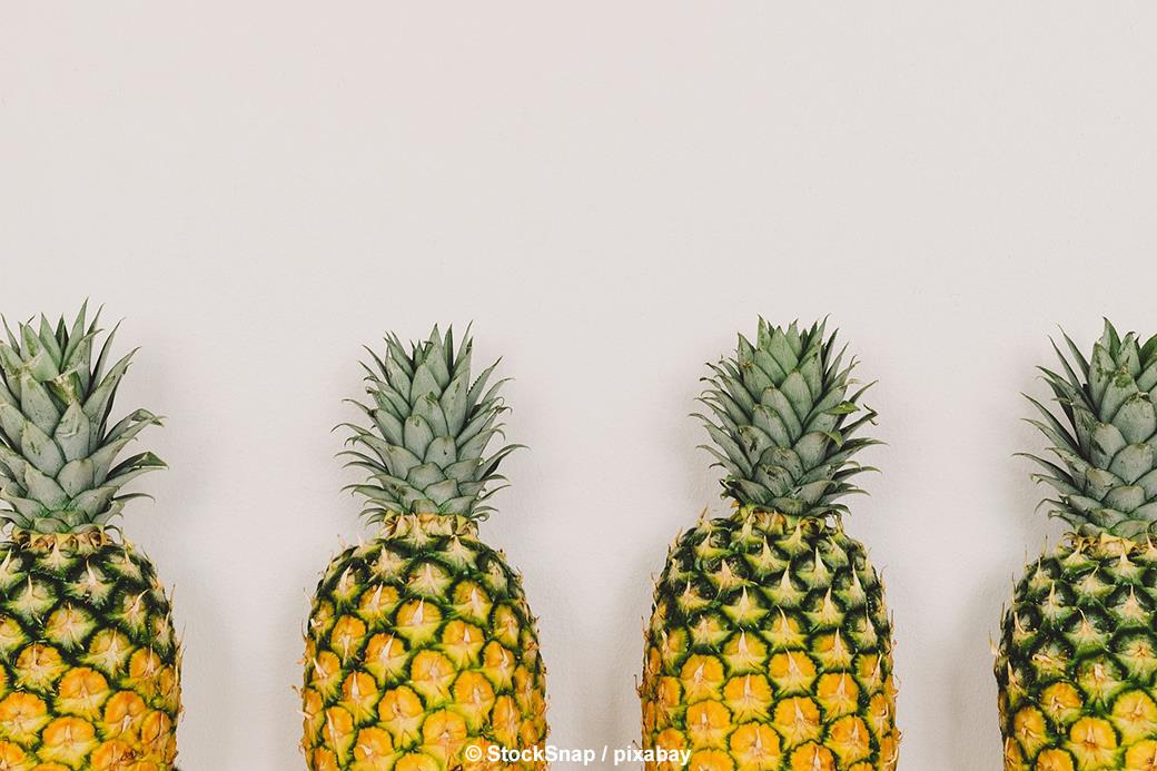 Jungle Jar - Problem Solving Edition