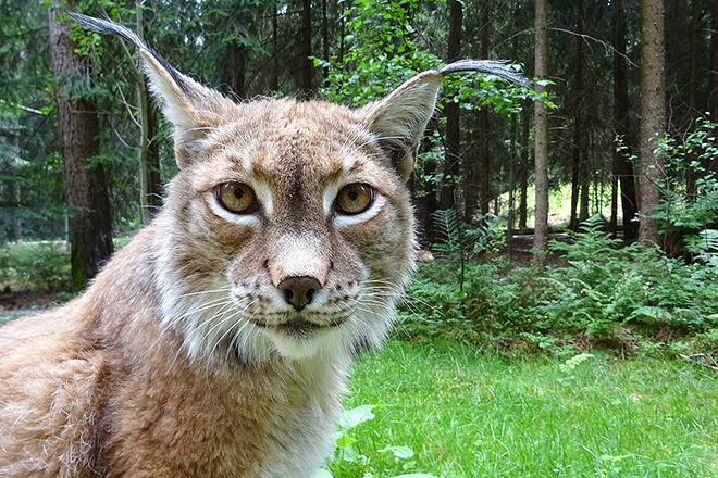 Viel Spaß im Freizeitparadies Bayern Park