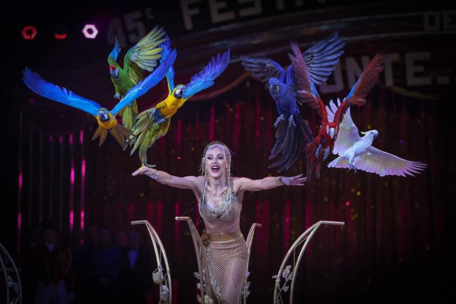 Circus Krone - Winterspielzeit  2024/2025 - Freestyle