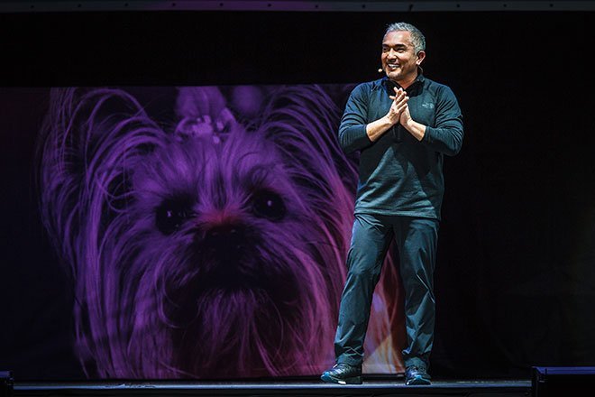 Cesar Millan © Michael Printz