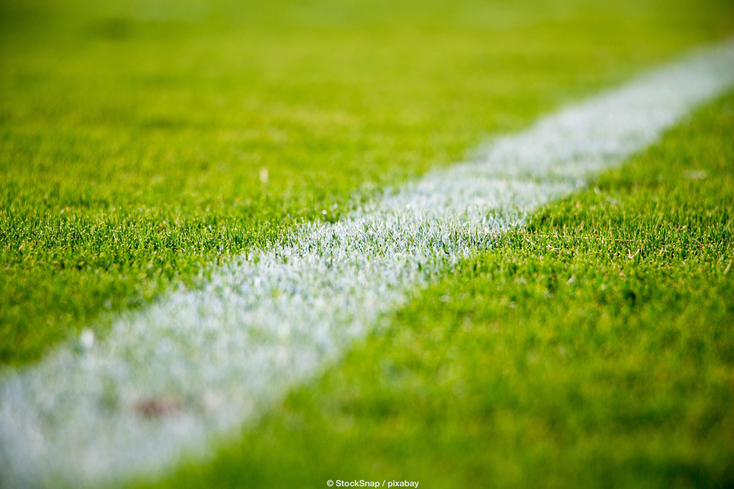 Ansicht: Fußballrasen mit weißer Linienmarkierung