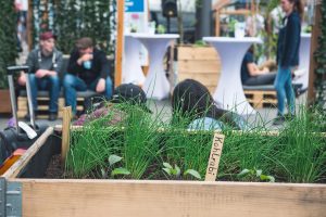 Urban Gardening Pasinger Bahnhof