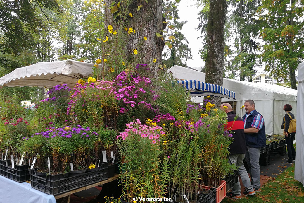 1019ToelzerHerbstzauber