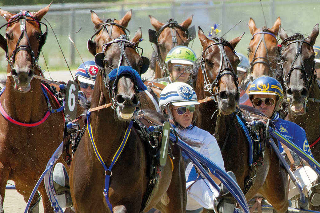0320Trabrennbahn_fotofinish