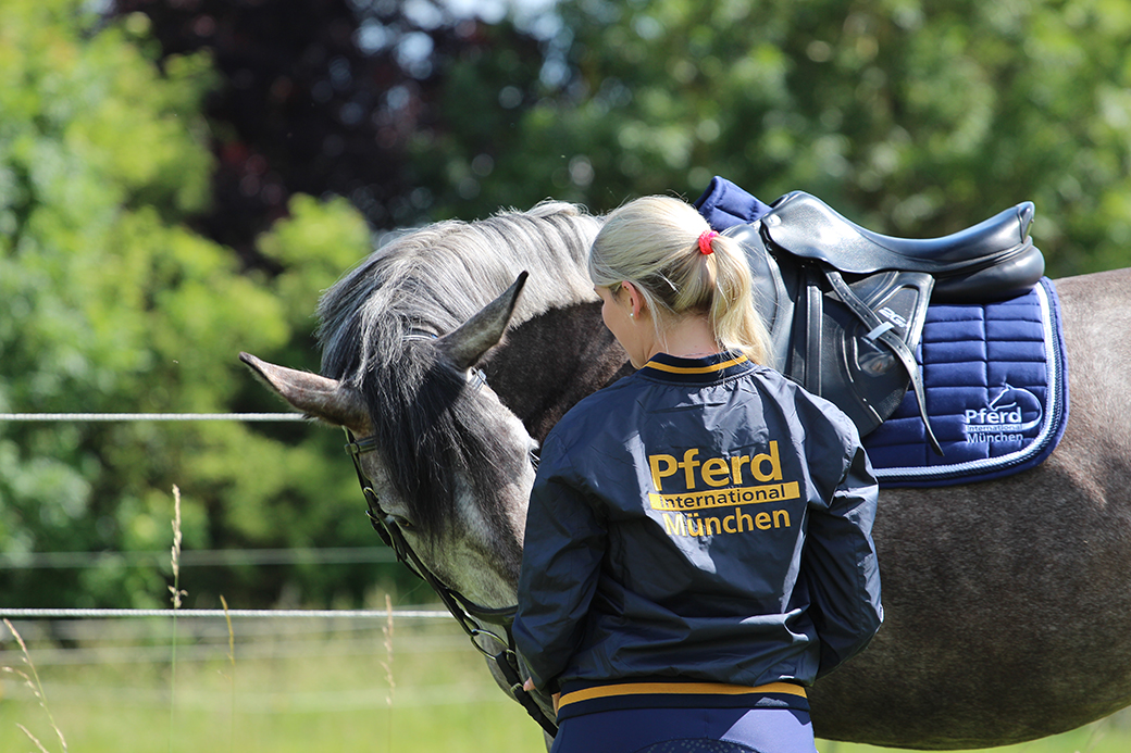 Pferd International Schauprogramm