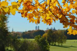 Laufen, Englischer_Garten_Herbst_Designerpoint_pixabay_1040x693