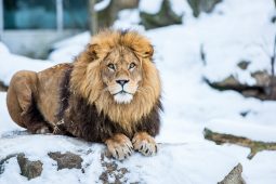 Tierpark Hellabrunn, 0222Hellabrunn