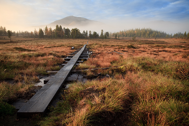 ein Morgen im Jämtland