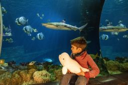 Tierische Spiele, Sea Life, Speyer. 17.11.2021©Martin Hangen/hangenfoto