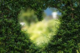 07_22_idyll_heart-g1f1Idyllisch, 5a5aee_1920_1040x693
