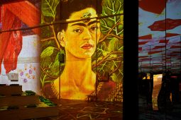 Frida Kahlo, Viva Frida Kahlo – Immersive Experience