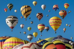 Festival-Highlights, TT_Festivals_1_1040x693_