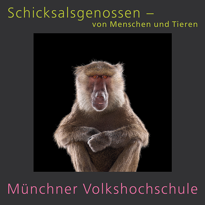 MVHS, MVHS_02_23_Cover_Programm_Schicksalsgenossen_600