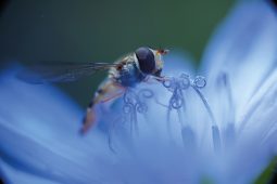 Museum Mensch und Natur, 0424MuseumMenschNatur_1