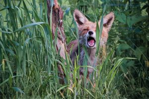 Mensch und Natur