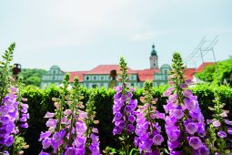 Fürstenfelder Gartentage, 0524Lohde
