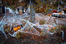 Skyline Park, TT_10_24_Skyline Park - Halloween 11_LP_1040x693