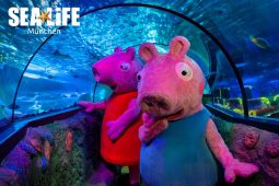 Sea Life, Peppa Wutz, Design ohne Titel - 3