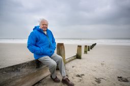 Ozean mit David Attenborough, Sir David Attenborough looks out to sea in Southern England. OCEAN WITH DAVID ATTENBOROUGH highlights the vital, achievable actions the world can take to restore the ocean and stabilize the climate, debuting in 2025. (Photo by Conor McDonnell), 05_25_OceanWithDavidAttenborough_002_LP_1040x693