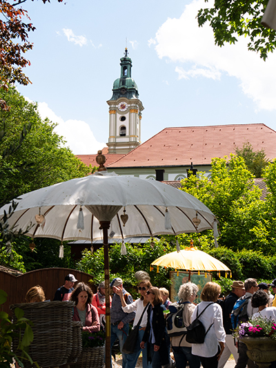 Gartentage Fürstenfeldbruck, TT_06_25_Gartentage_FFB_Jakob Brückner1680942_LP_660x440