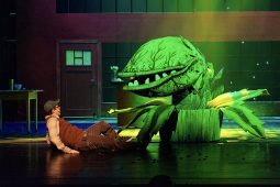 Der kleine Horrorladen Deutsches Theater München, TT_07_25_Horrorladen_51-2Y9A8281_LP_1040x693