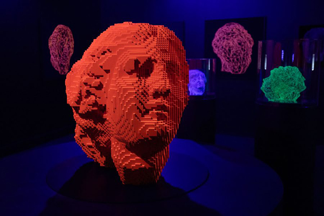 Miguel Chevalier Ausstellung München, TT_kunsthalle-muenchen-ausstellung-digital-by-nature-miguel-chevalier-janus-900x600_LP_660x440
