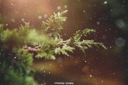 Weihnachtsmärkte München, Winter_5