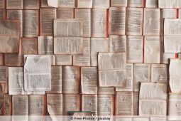 Münchner Bücherschau 2025, Buecher_1040x693