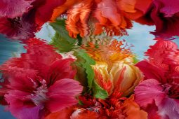 Betty Mü Ausstellung München 2025, TT_11_25_Mue_Kue_VISUAL_SHIFT_KeyVisual_Kuenstlerhaus_BettyMue_1040x693