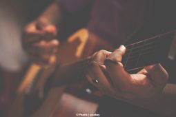 Hot Club Fraunhofer, Gitarre_3