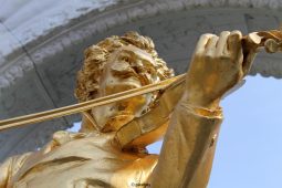 Wiener Johann Strauß Konzert, Operette