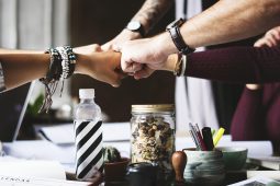 Teamevents planen, Beitr_02_26_rawpixel-action-2277292_1920_LP_1040x693