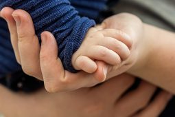 Schreibabys Osteopathie, Betr_06_26_myriams-fotos-toddler-hand-4867454_1920_LP_1040x693