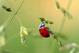 Sommerferien Ebersberger Forst, 0826MuseumWaldUmwelt