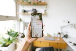 Bei Anruf Kultur, Telefon_tranmautritam-pixabay